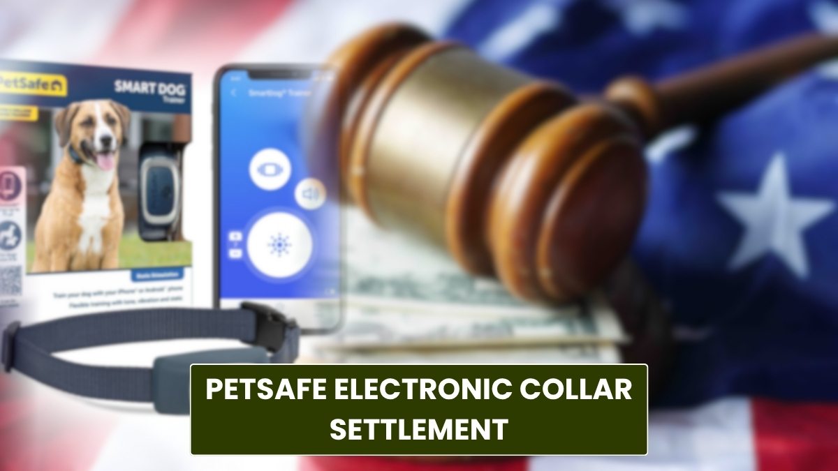  PetSafe Electronic Collar Settlement: Eligibility, Important Date, and More!